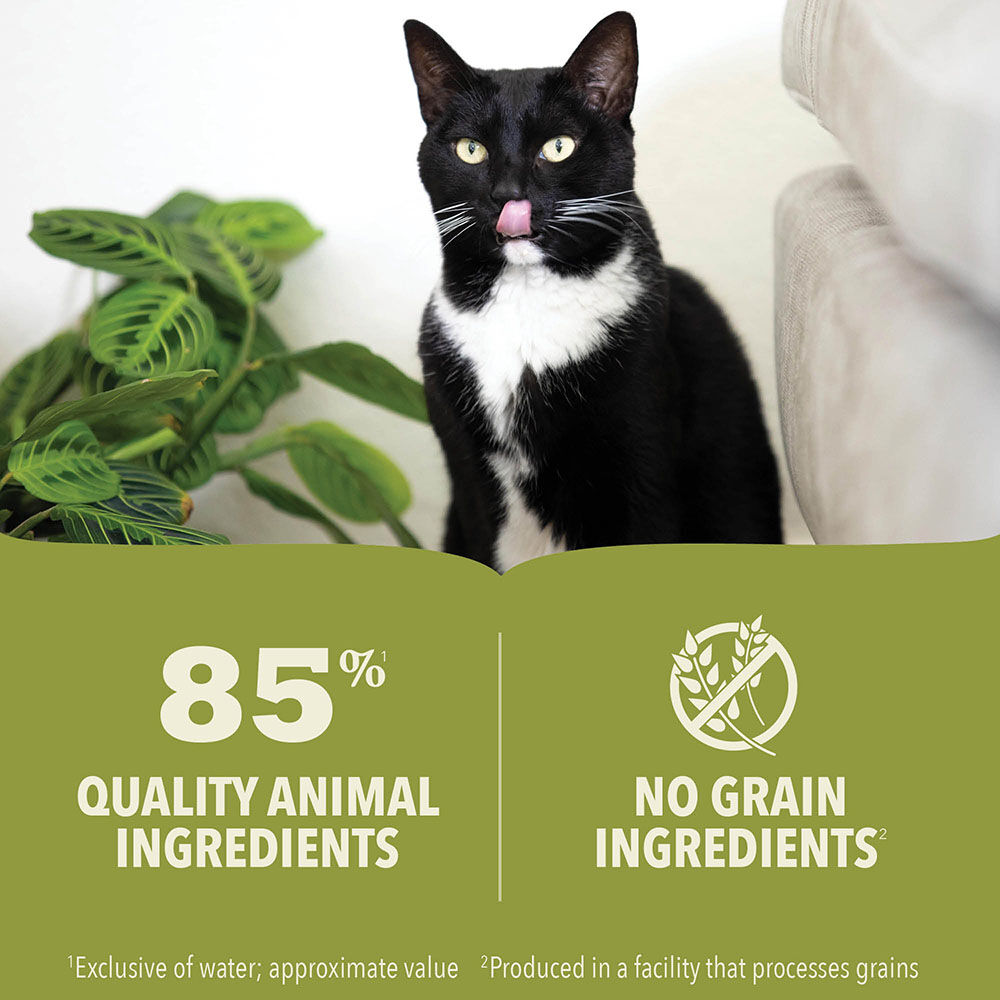 Can cats eat lambs liver sale